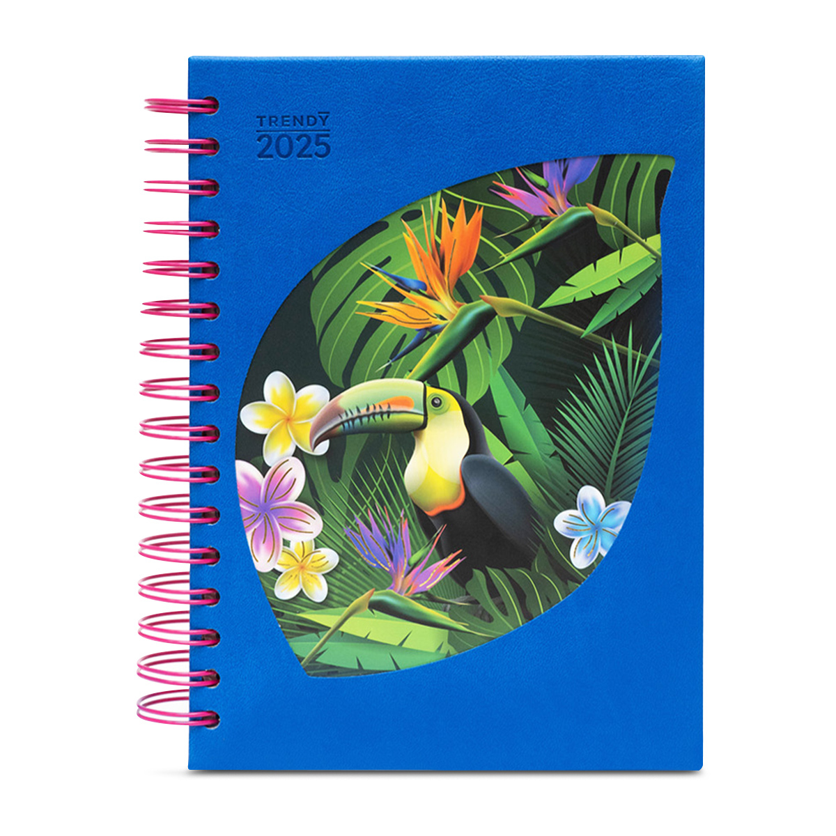 AGENDA 2025 TRENDY ENVIROMENT