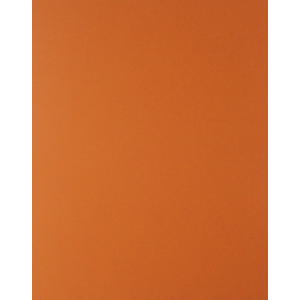 CARTULINA  NARANJA 65X50 CM 170G FASHION 938