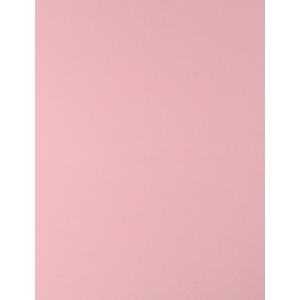 CARTULINA ROSA 65X50 CM 170G FASHION 921