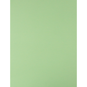 CARTULINA  VERDE PALIDO 65X50 CM 170G FASHION 924