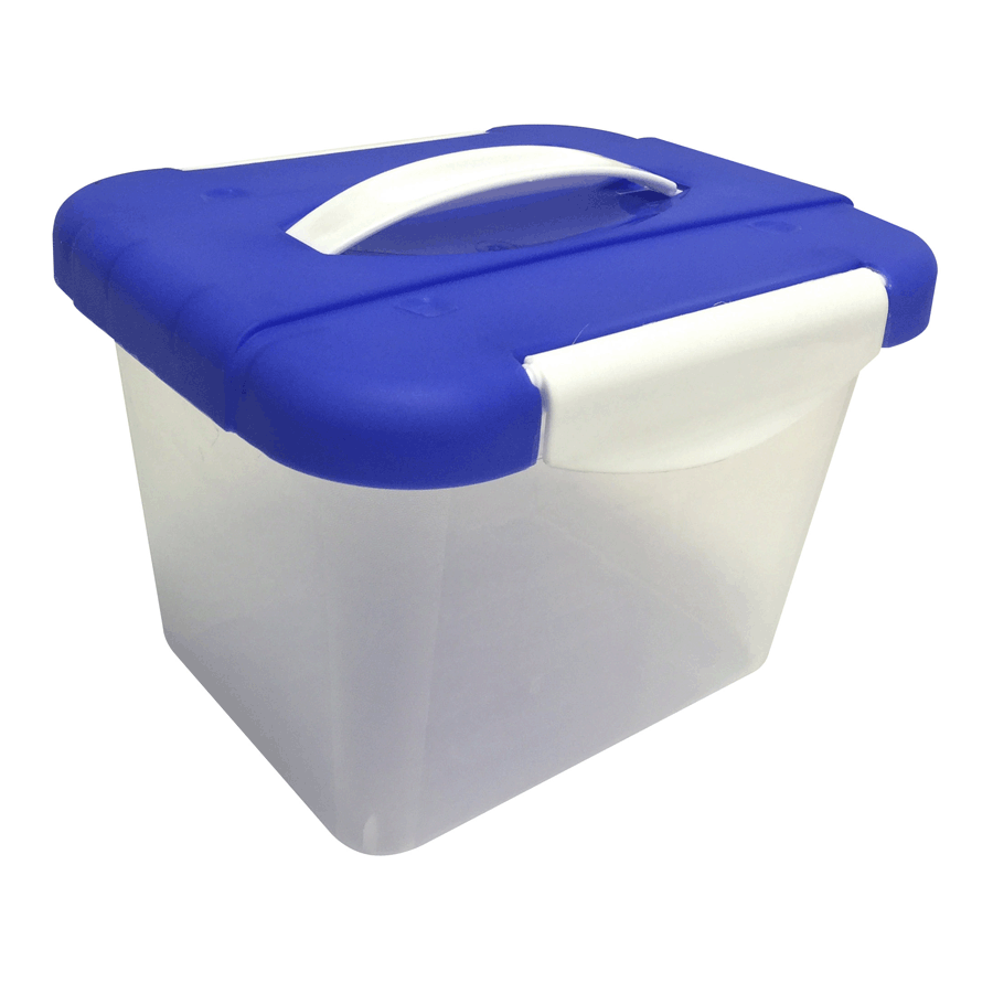 CAJA CLICK (4 LT) TR - AZUL FRIDA P.2196 C