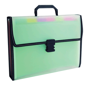 ARCHIVERO EXPANDIBLE 12 SEPARADORES CON JARETA P/TRASPORTAR TR C/SEPARADOR DE COLOR ARCHIVERO EXPANDIBLE 12 SEPARADORES CON JARETA P/TRASPORTAR TR C/SEPARADOR DE COLOR