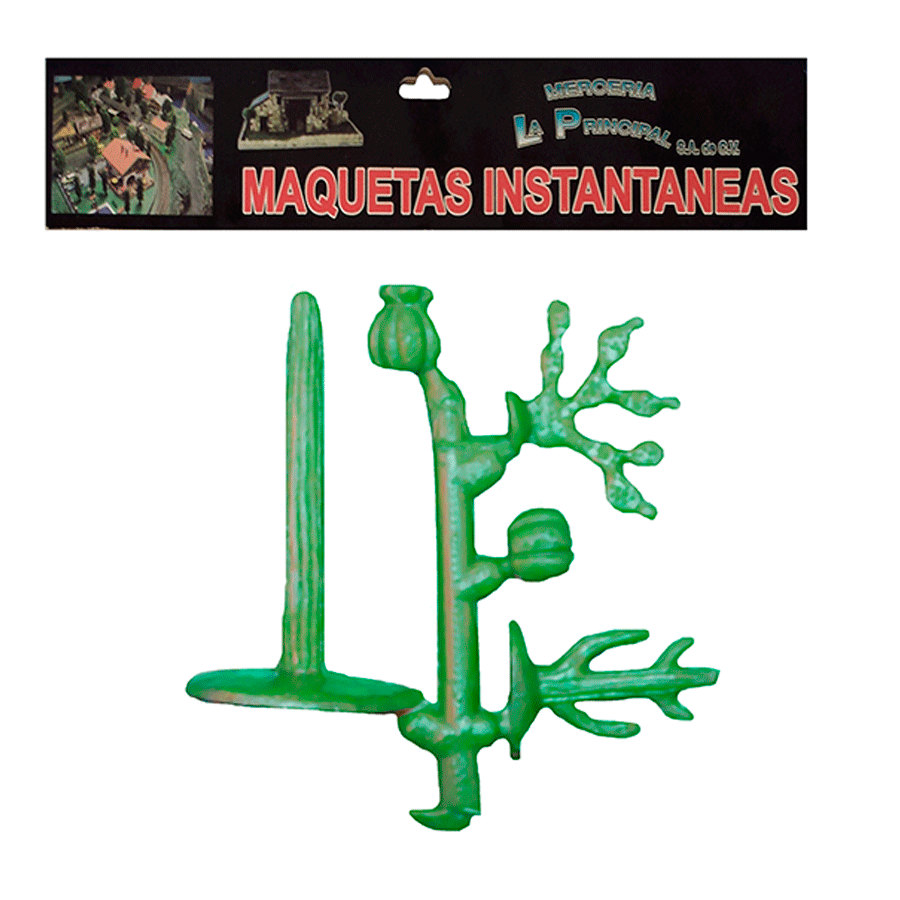 JUEGO DE CACTUS