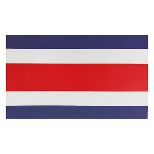 ARTICULO PATRIO BANDERA PAPEL SIN ESCUDO ARTICULO PATRIO BANDERA PAPEL SIN ESCUDO
