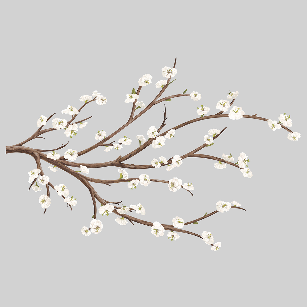 VINIL DECORATIVO 3D WHITE BLOSSOM