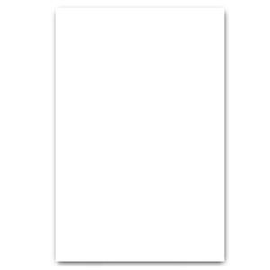 CARTULINA BLANCA 220G PAQ10 CARTULINA BLANCA 220G PAQ10