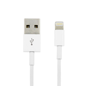 CABLE ARGOM LIGHTNING 10 PIES ARG-CB-0040 CABLE ARGOM LIGHTNING 10 PIES ARG-CB-0040