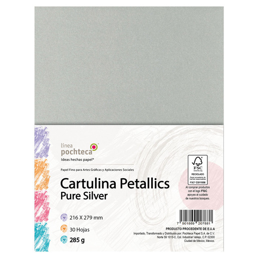 CARTULINA CARTA PETALLICS SILVER 285GR 30H