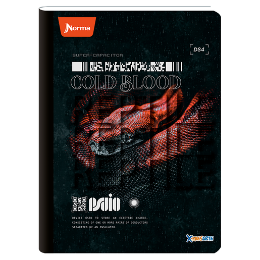 CUADERNO COSIDO RAYA X-PRESARTE (MASCULINO, 100H)