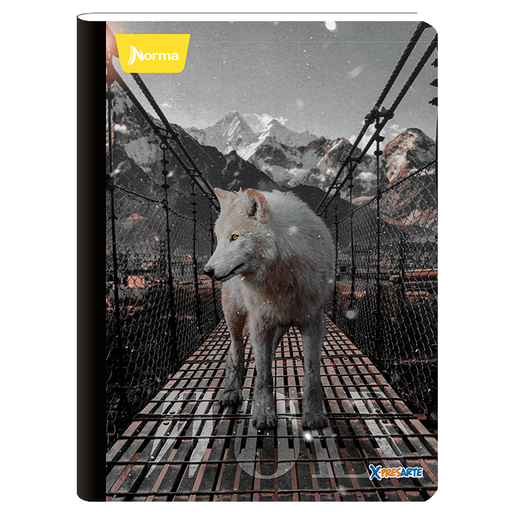 CUADERNO COSIDO RAYA X-PRESARTE (MASCULINO, 100H)