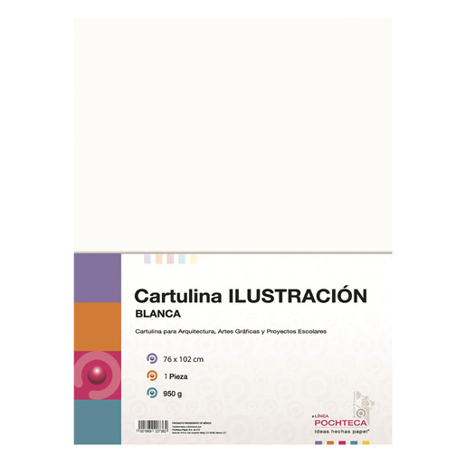CARTULINA ILUSTRACION 76X102