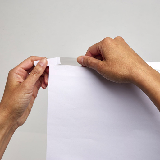 INDICE CEJA TRANSP BCA 8 DIV