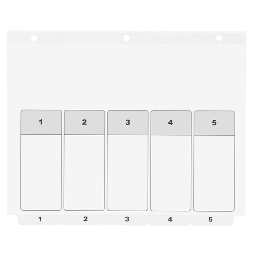 DIVISION 1-5 NUMERICA CARTA