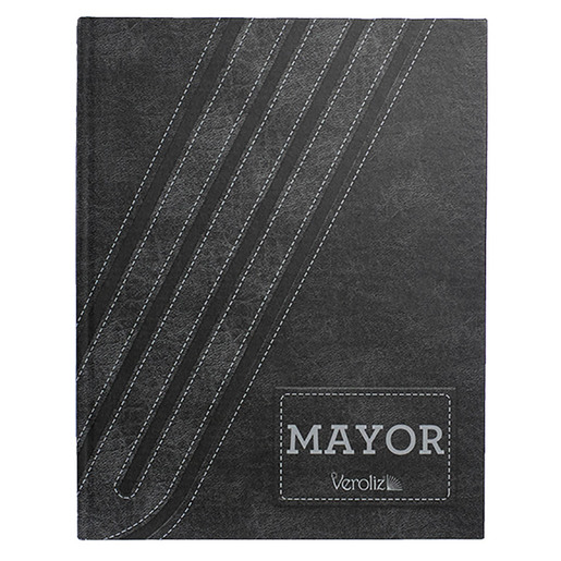LIBRO MAYOR DE 100 FOLIOS