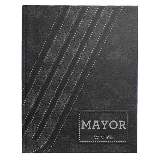 LIBRO MAYOR DE 200 FOLIOS