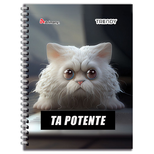 CUADERNO ESPIRAL ARIMANY TRENDY CUADRO 100H (PASTA SEMI DURA)